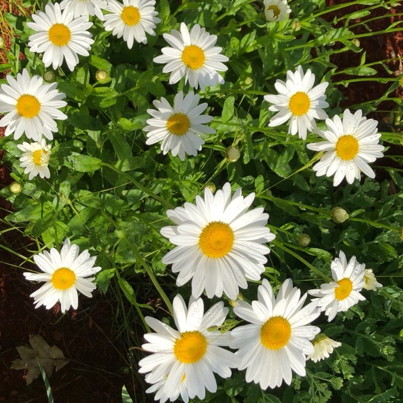 Make reasonable offer - Picture 15 of 15